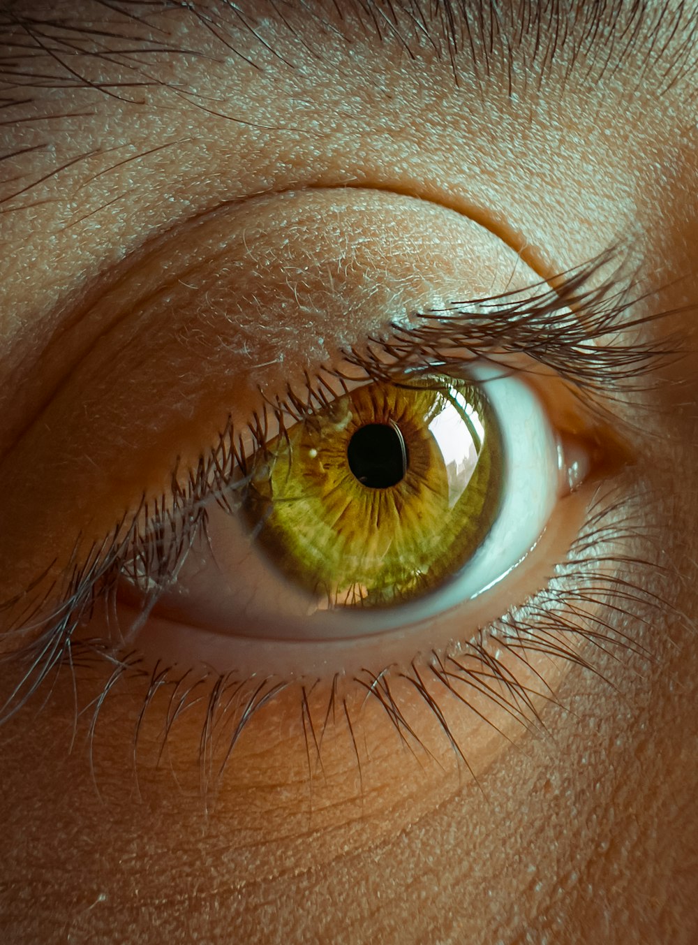 a close up of a person's eye with a yellow iris