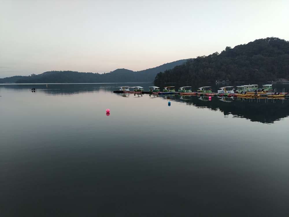 a body of water filled with lots of boats