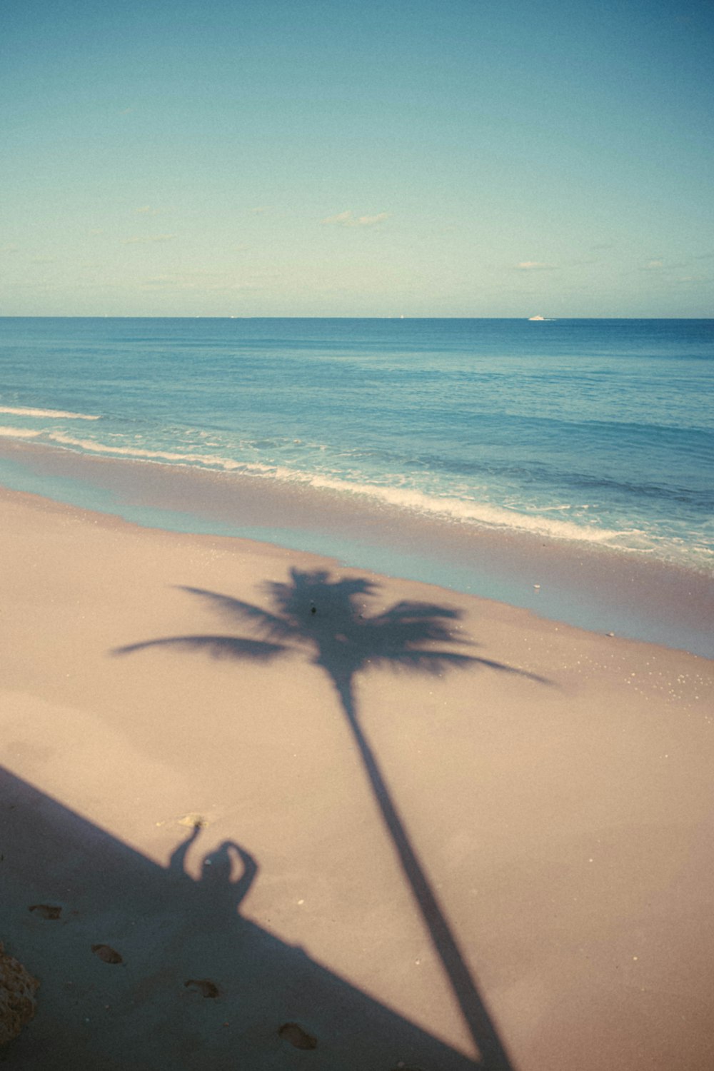 a shadow of a palm tree on a beach