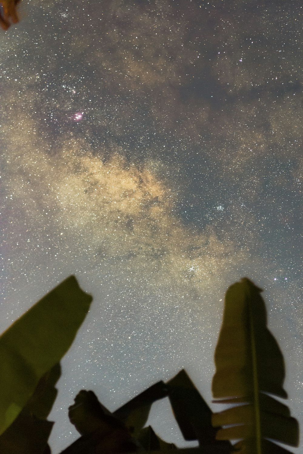 夜空は星と雲でいっぱいです