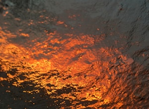 Charizard Blaze