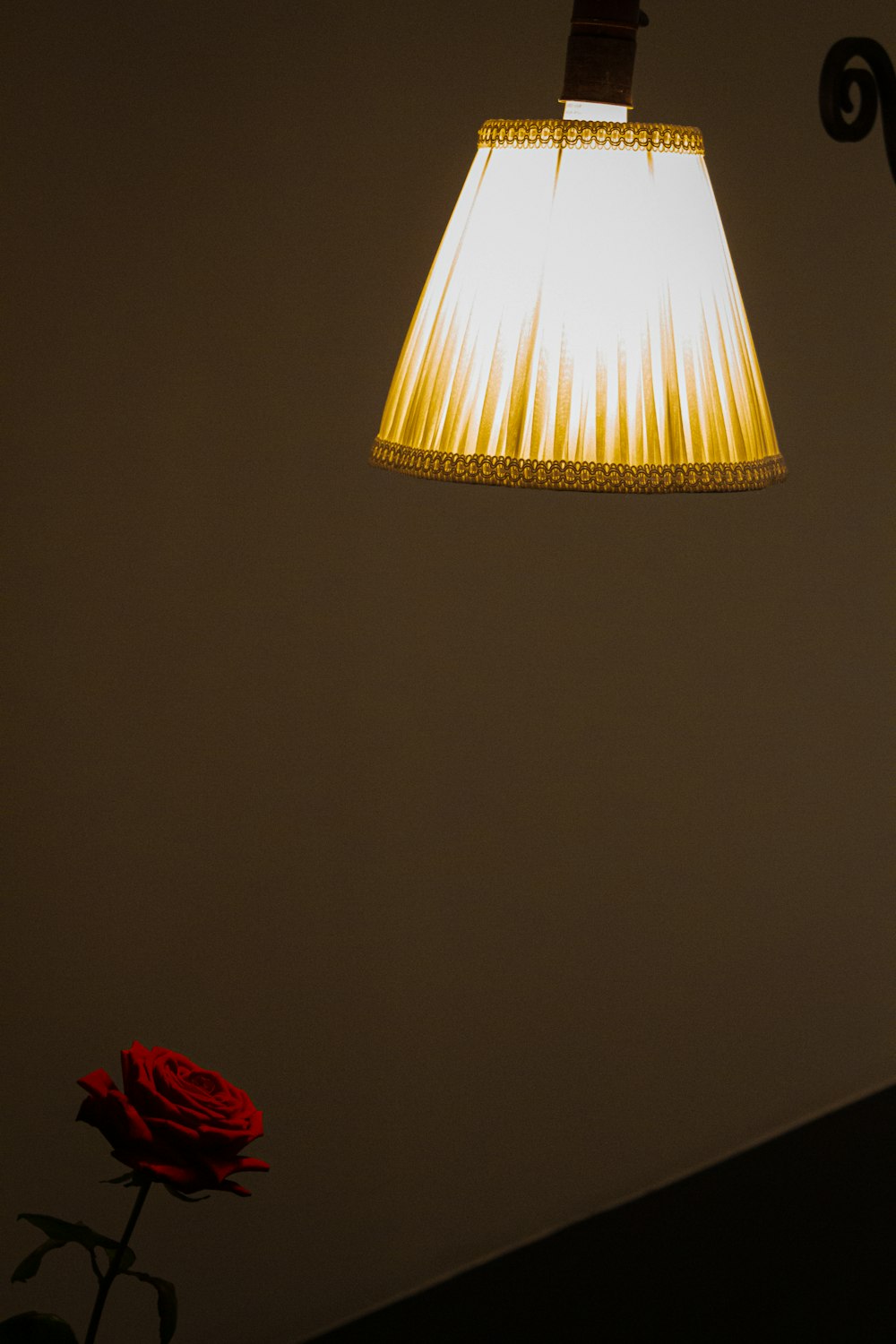 a lamp that is next to a red rose