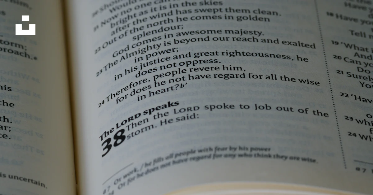 Script Image Open Book A close up of an open book with text photo – Free Grey Image on Unsplash