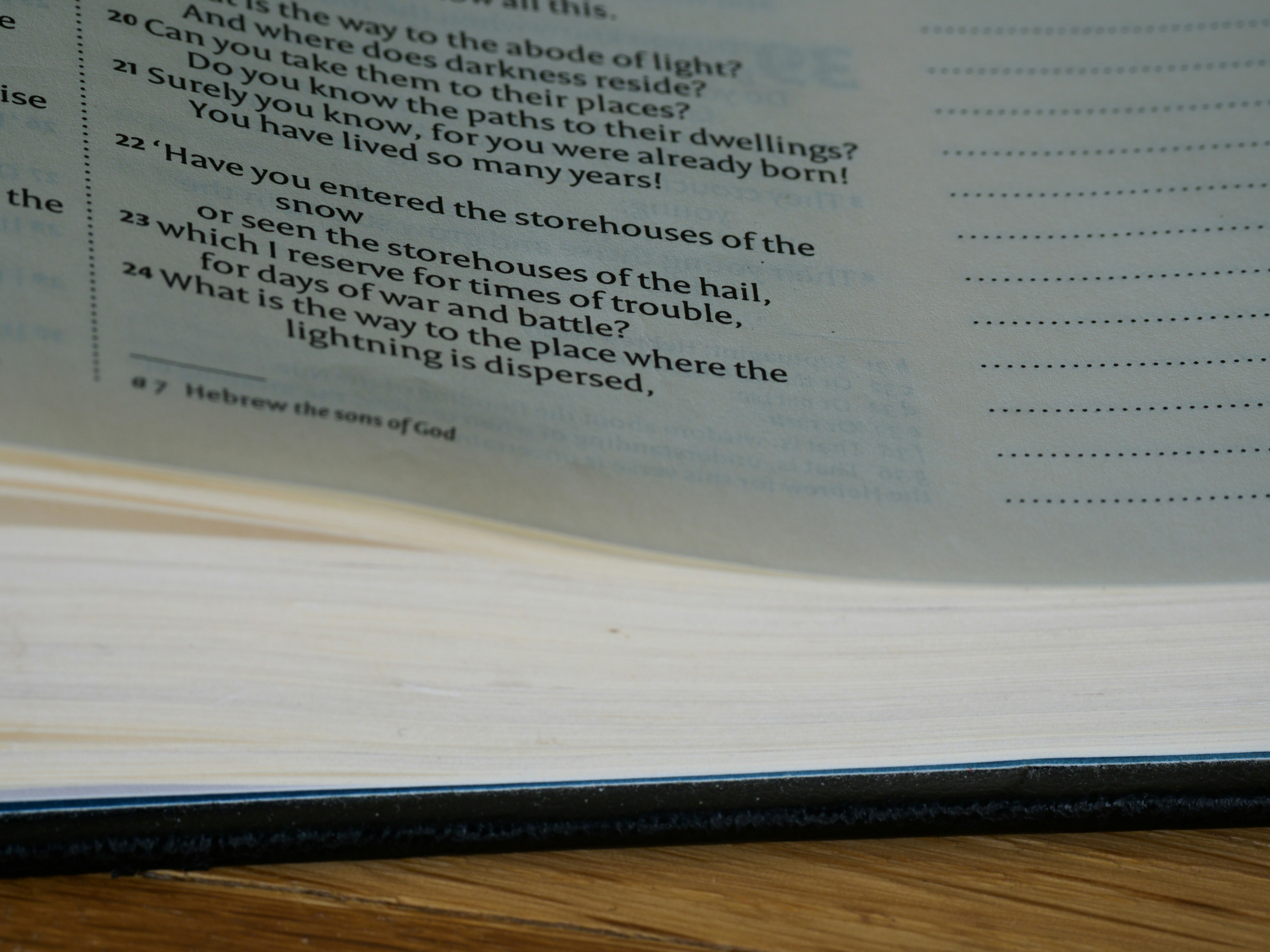 Photo by brett_jordan