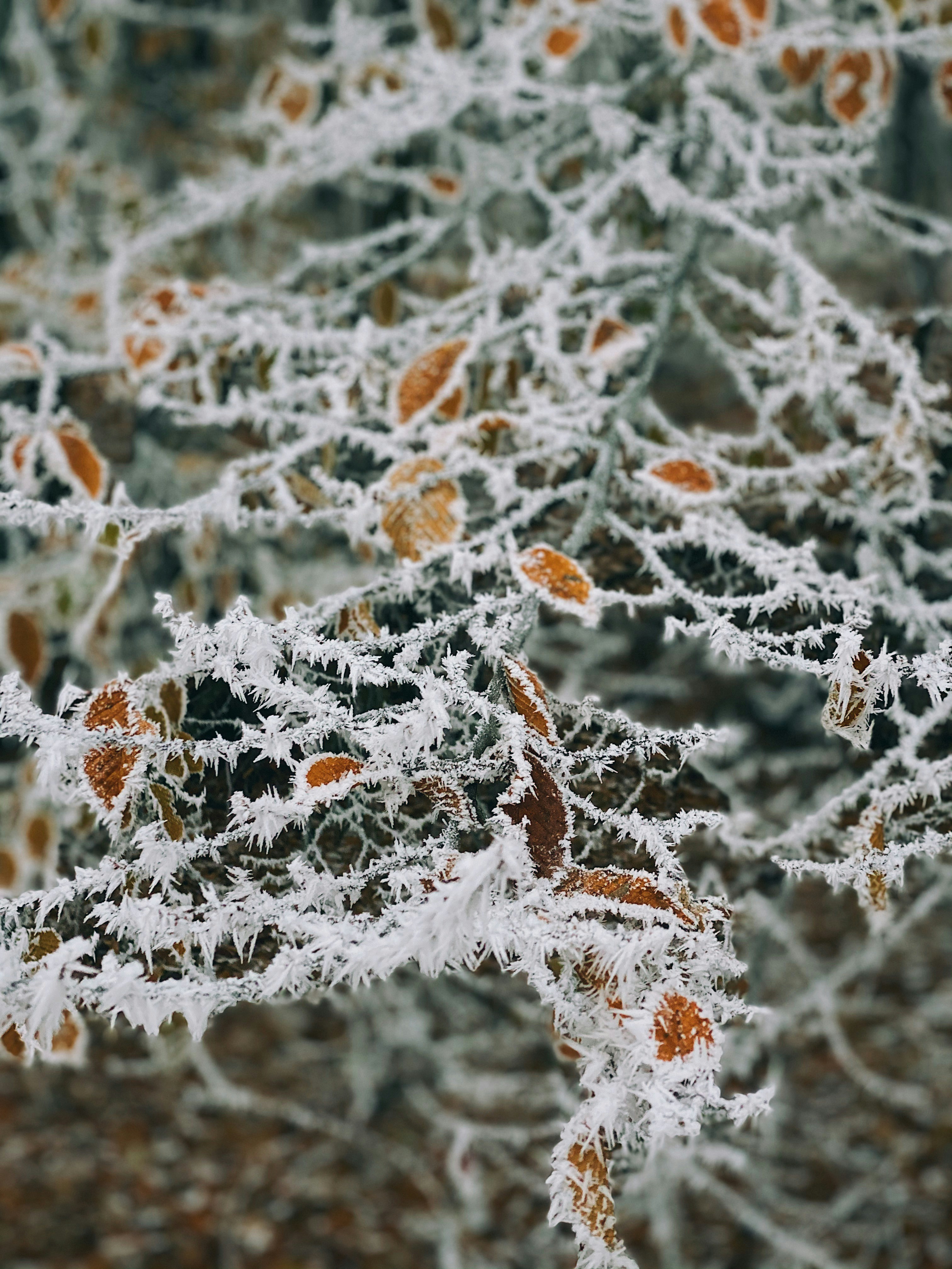 Photo by kakasikriszta