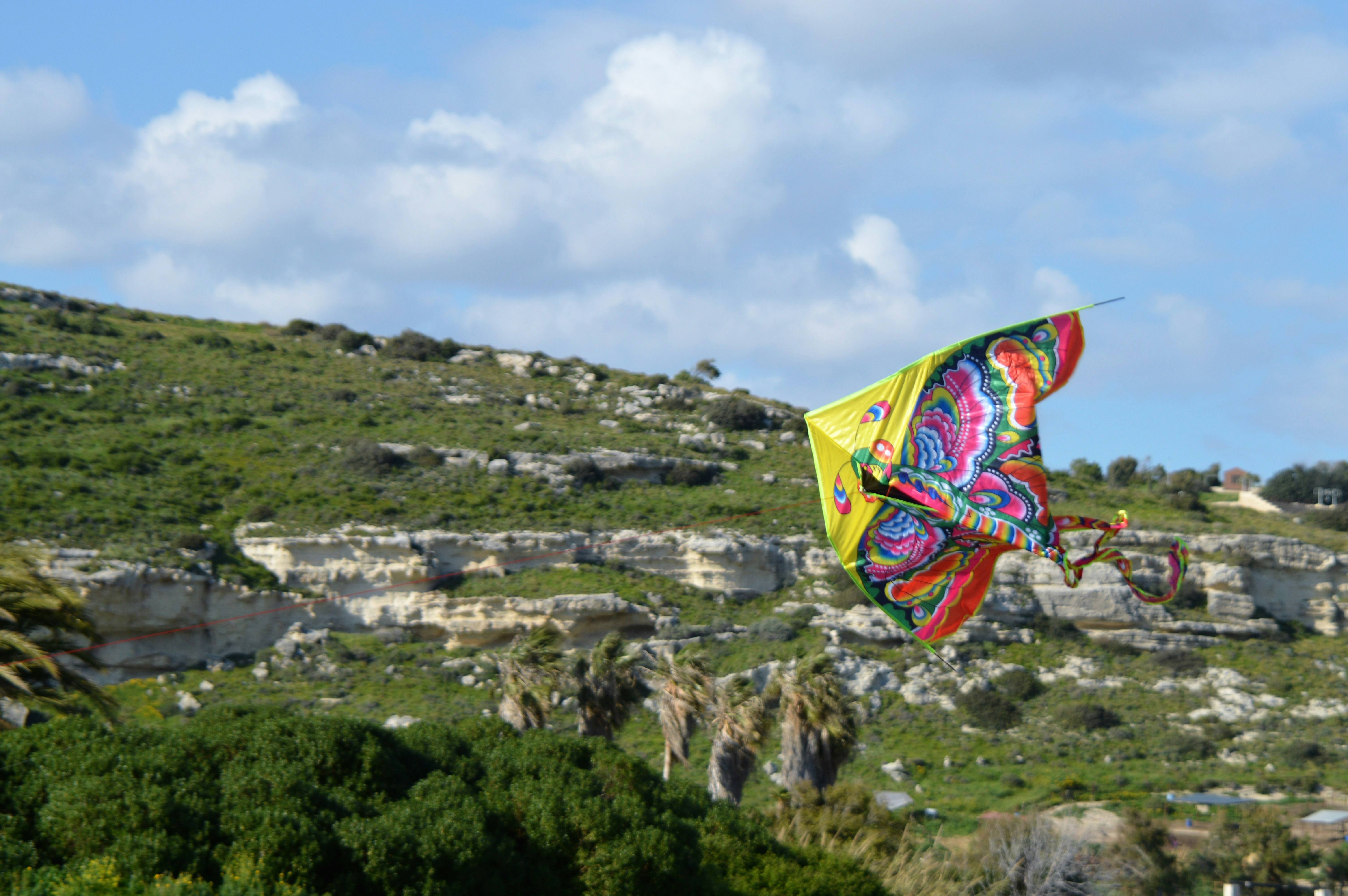 Image credit: this life's illusions via unsplash
image of kite flying, Makar Sankranti 2026