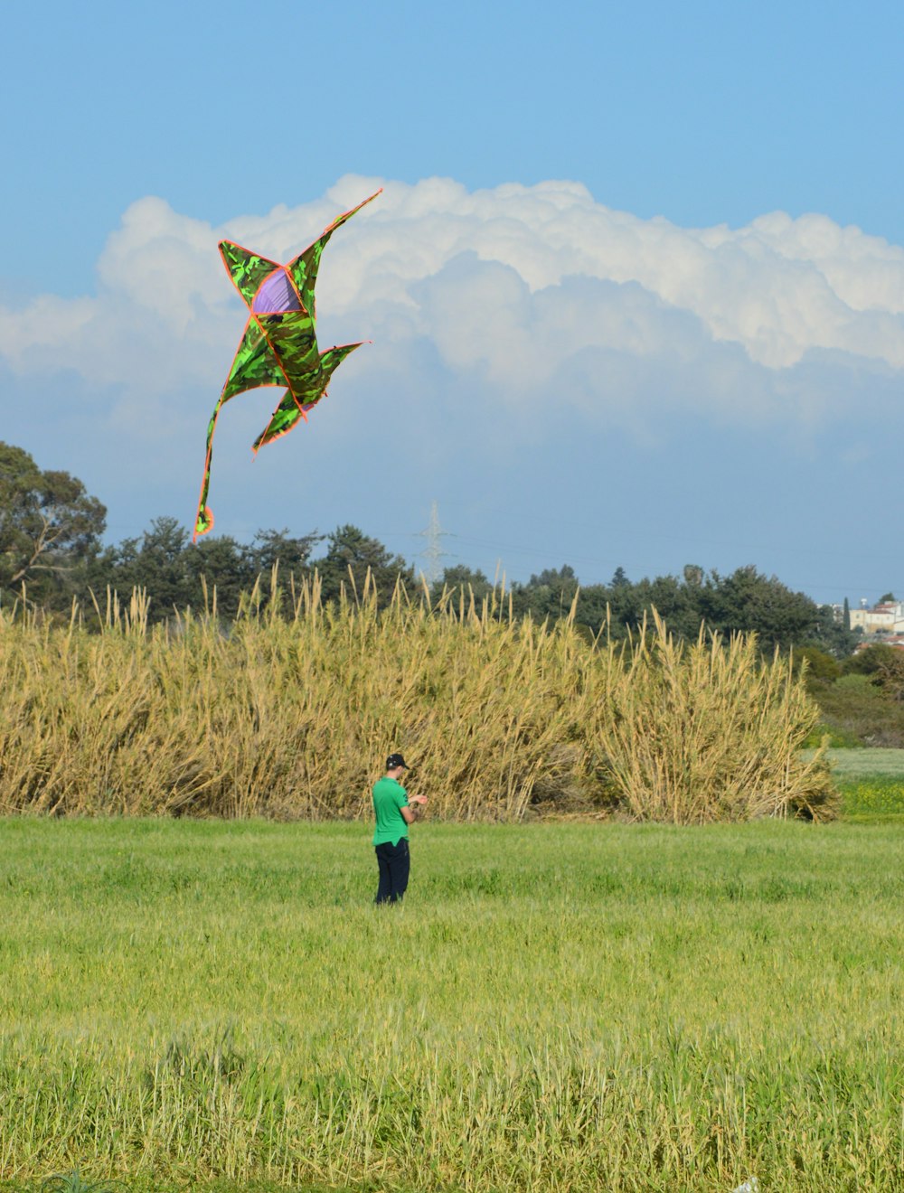 a person in a field flying a kite