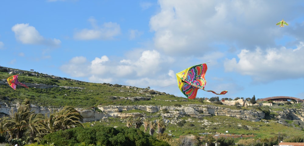 a group of people flying kites on top of a lush green hillside