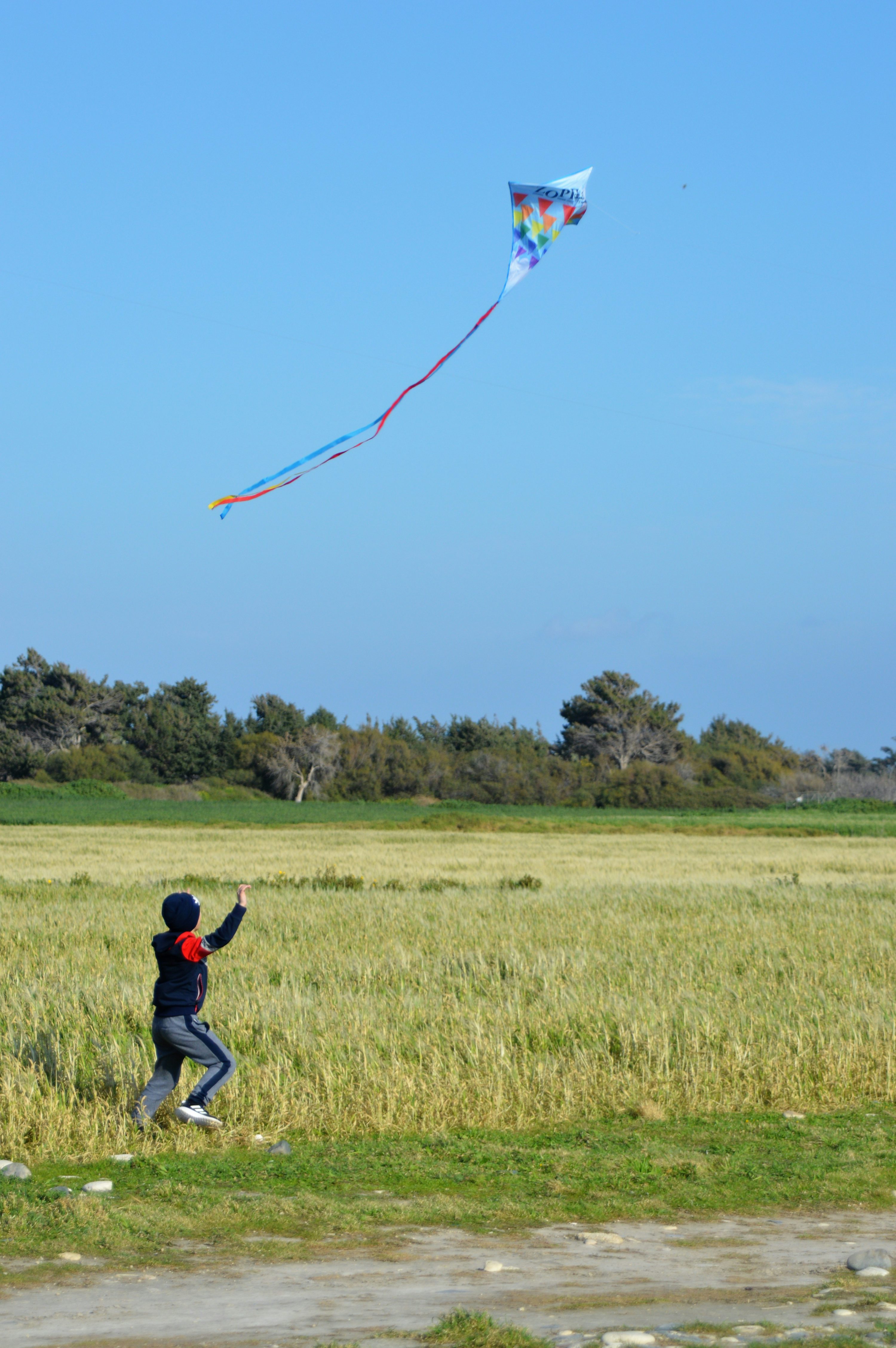 a person in a field flying a kite