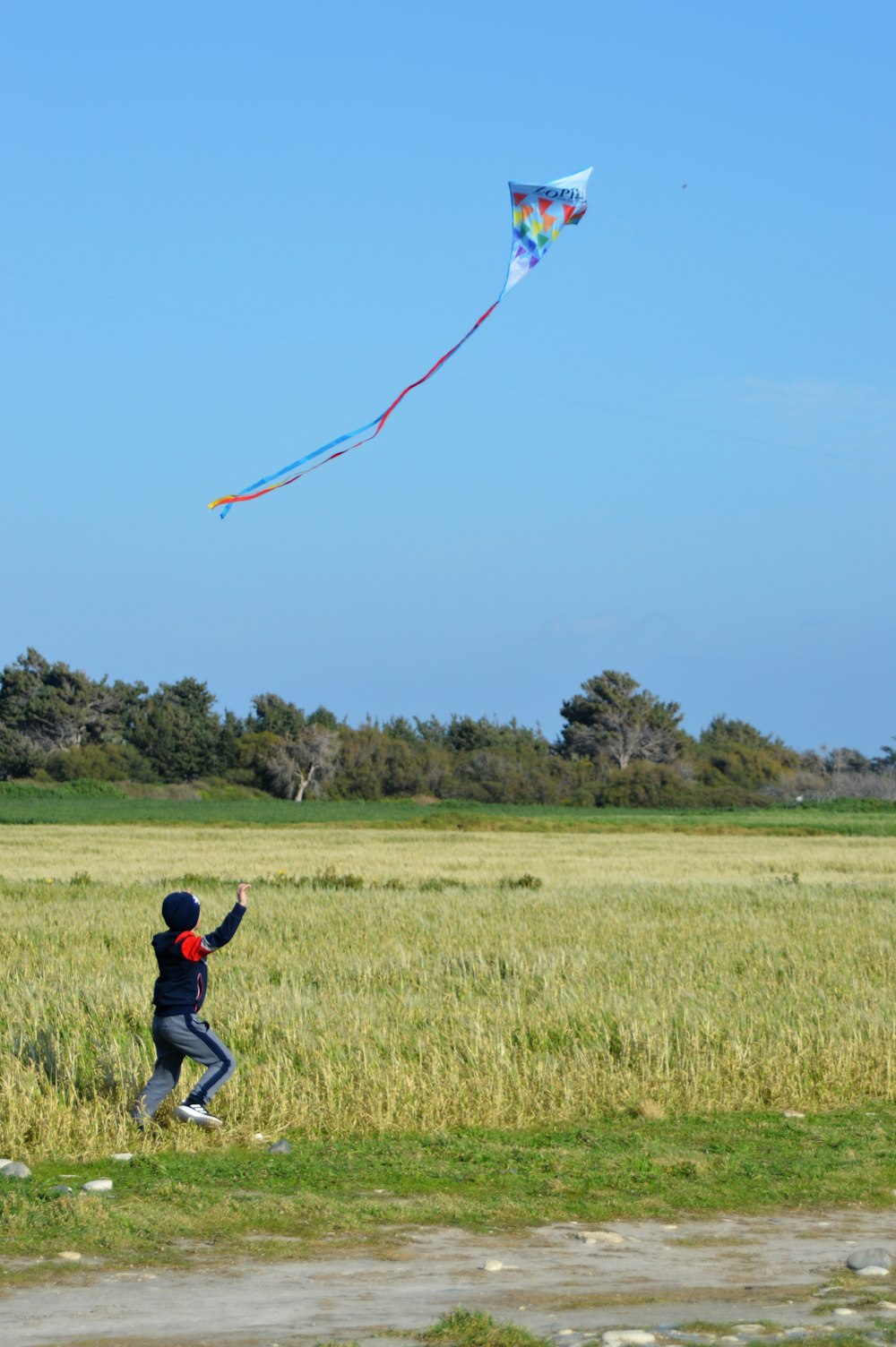 a person in a field flying a kite