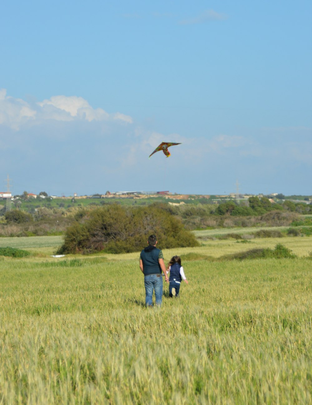 a man and a child are walking through a field