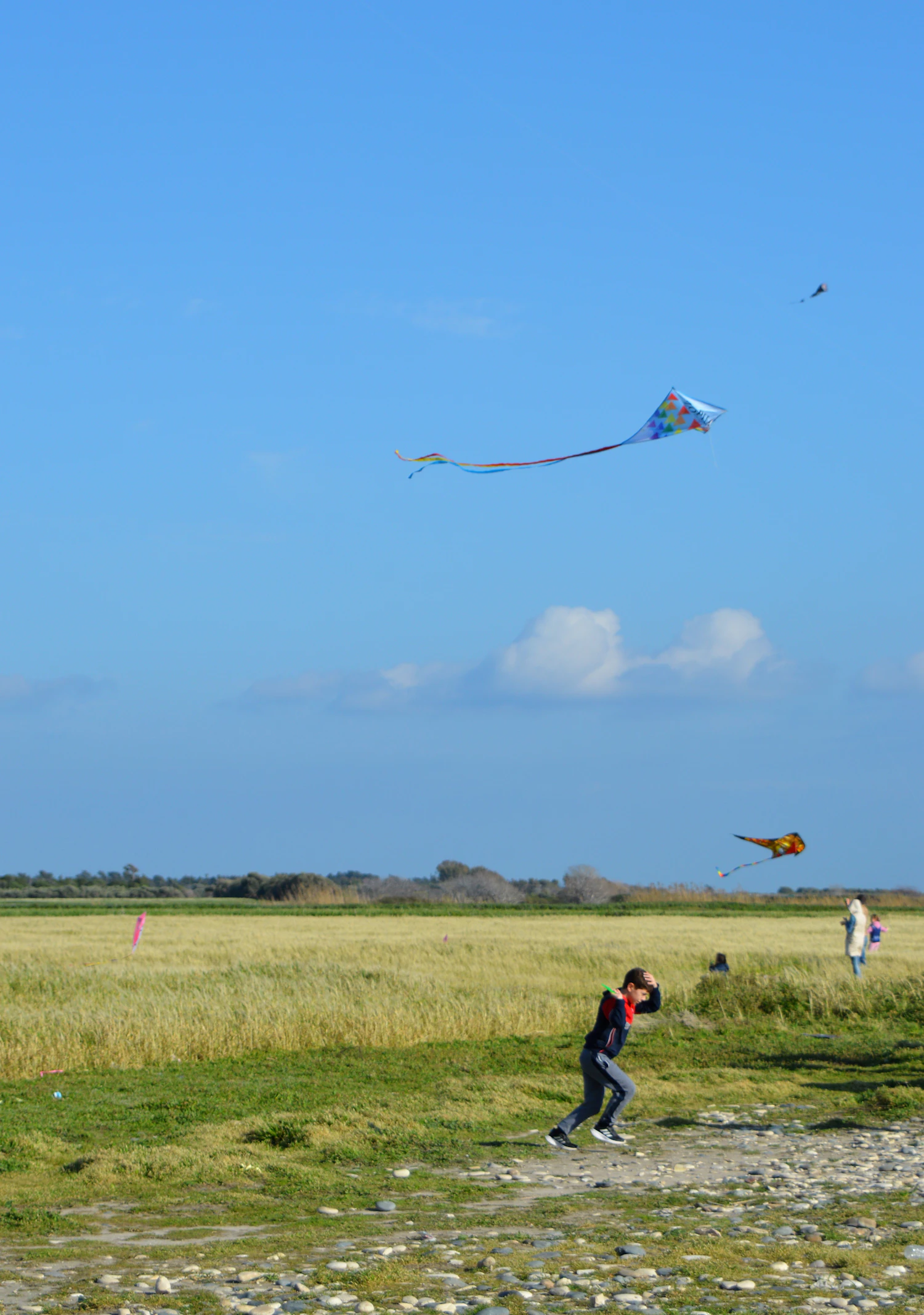 A person flying a kite over a wide green field under a blue sky