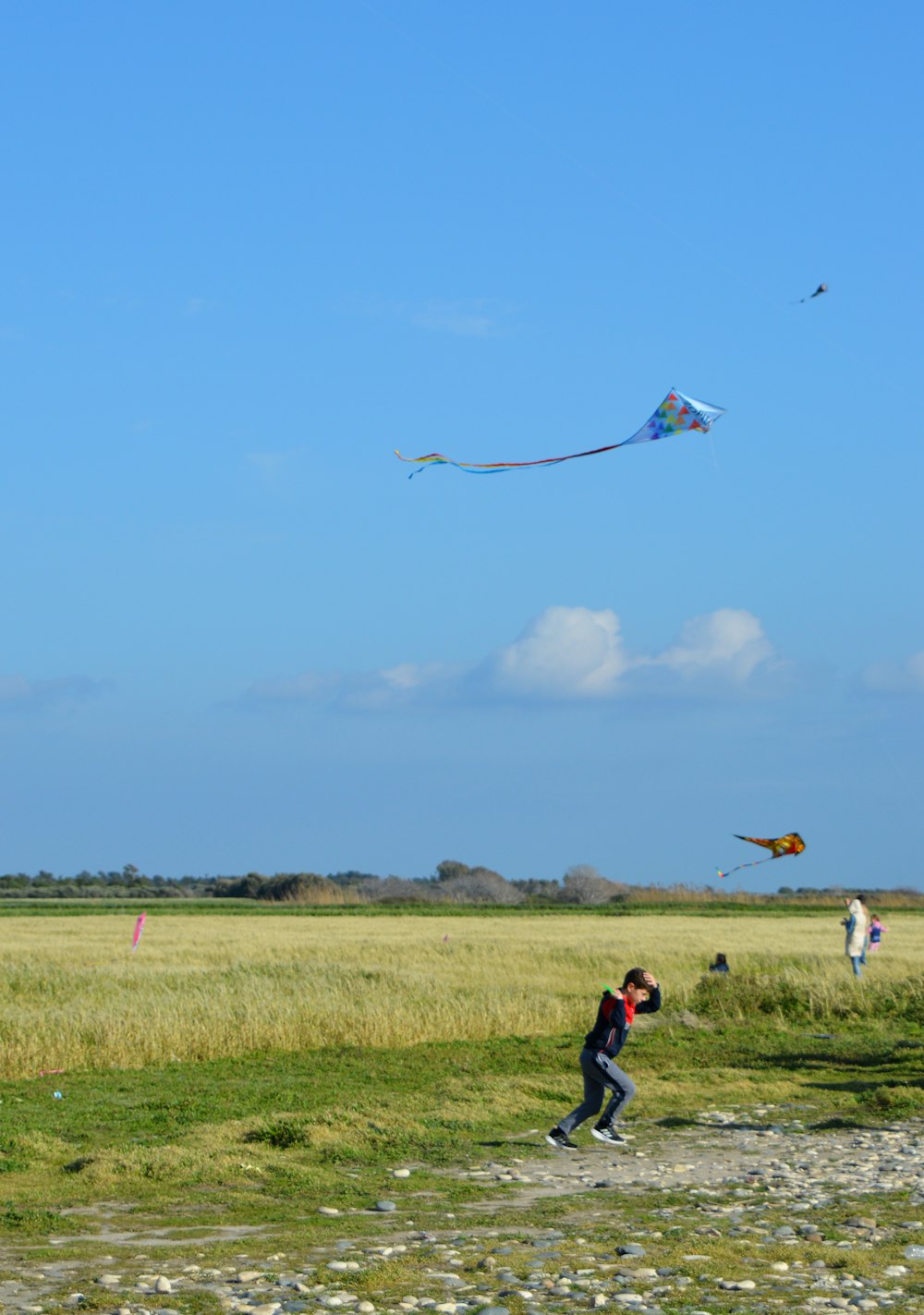 a person flying a kite in a field