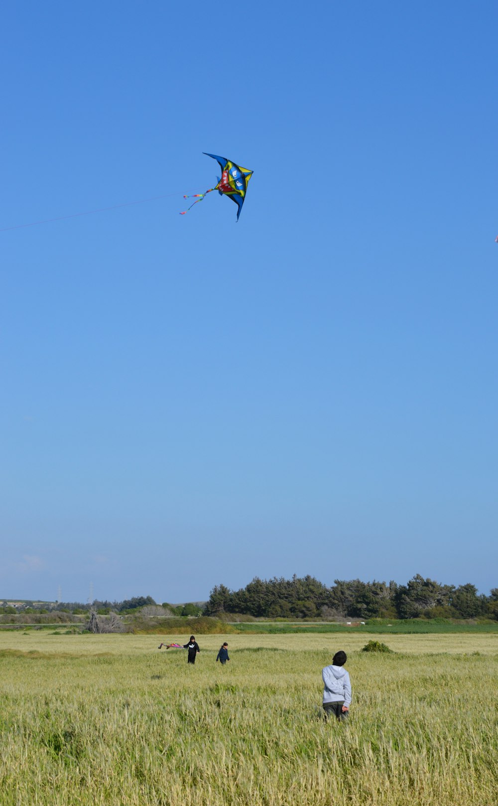 a group of people in a field flying a kite