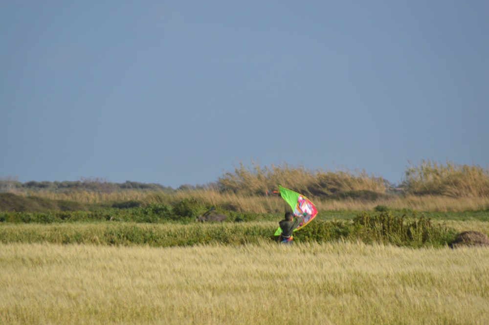 a person is flying a kite in a field