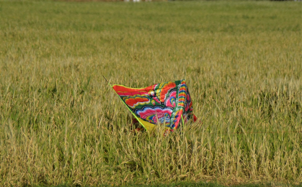 a colorful kite in a field of tall grass