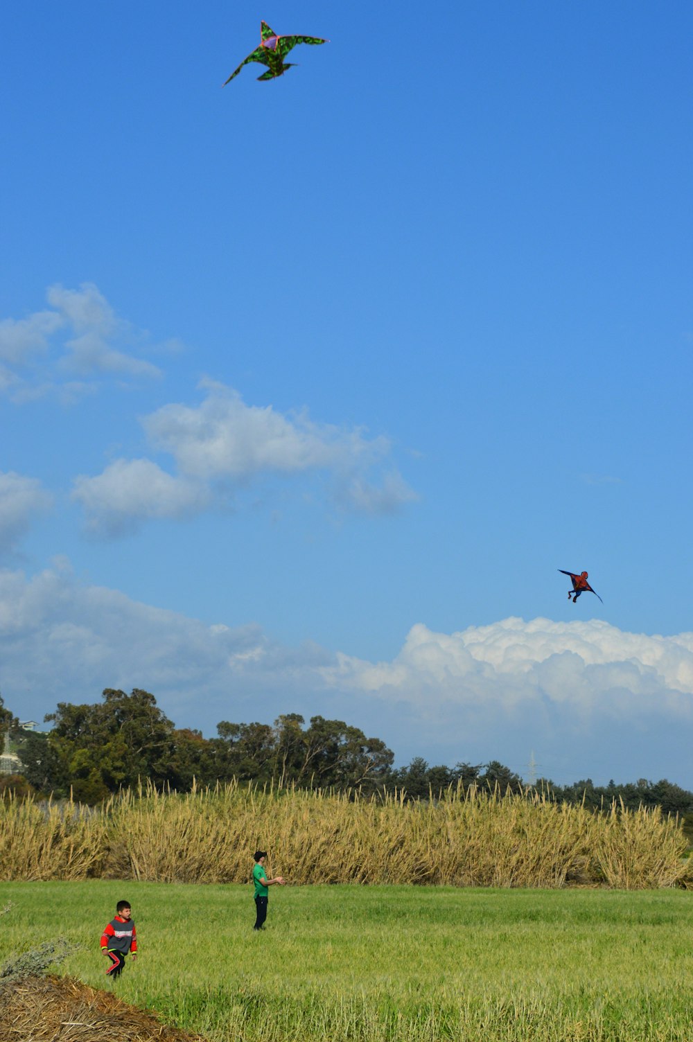 a couple of people flying kites in a field