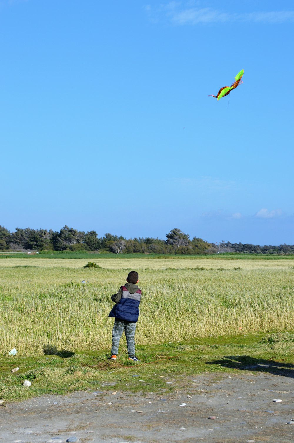 a person standing in a field flying a kite