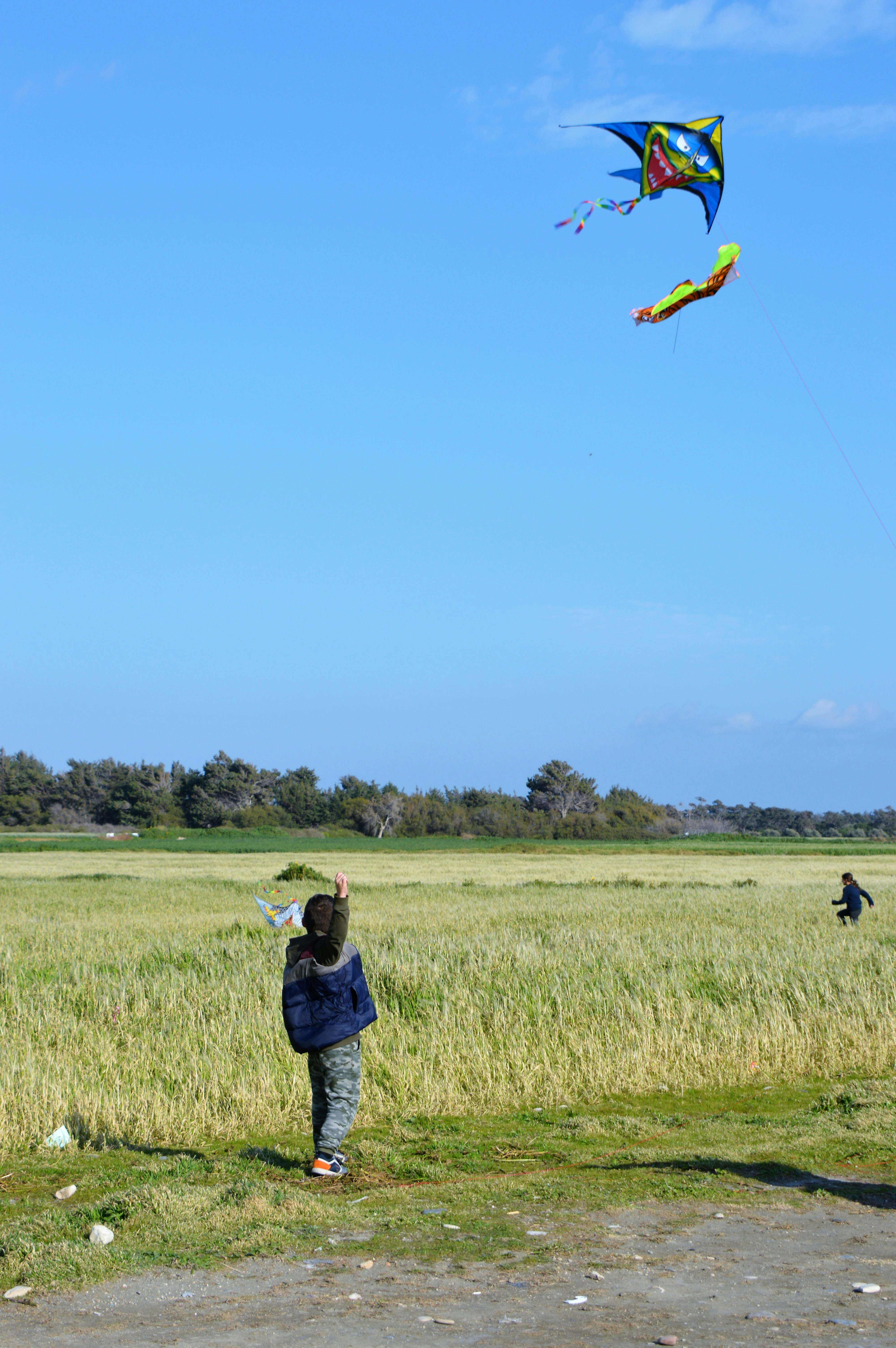 a person flying a kite in a field