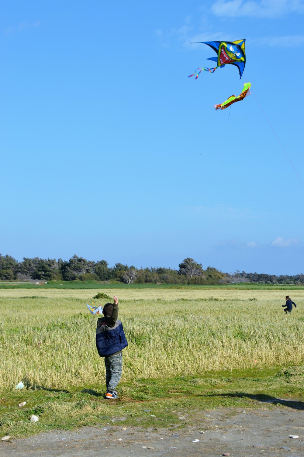 a person flying a kite in a field