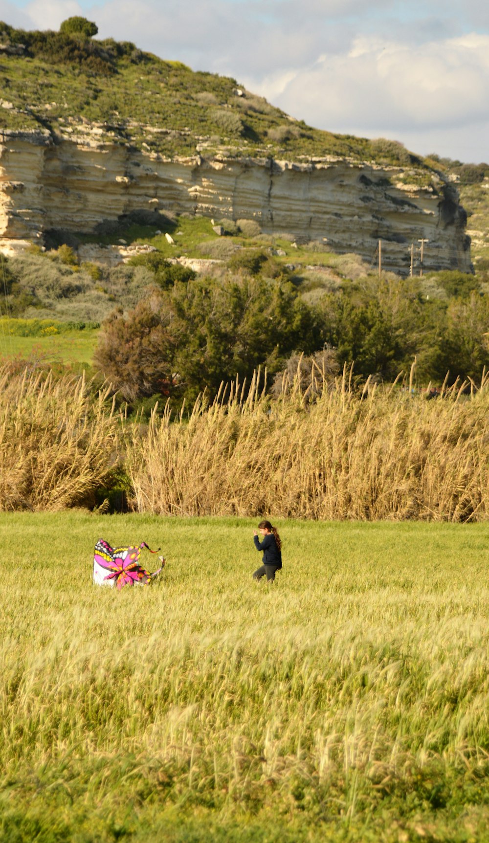 a person in a field with a kite