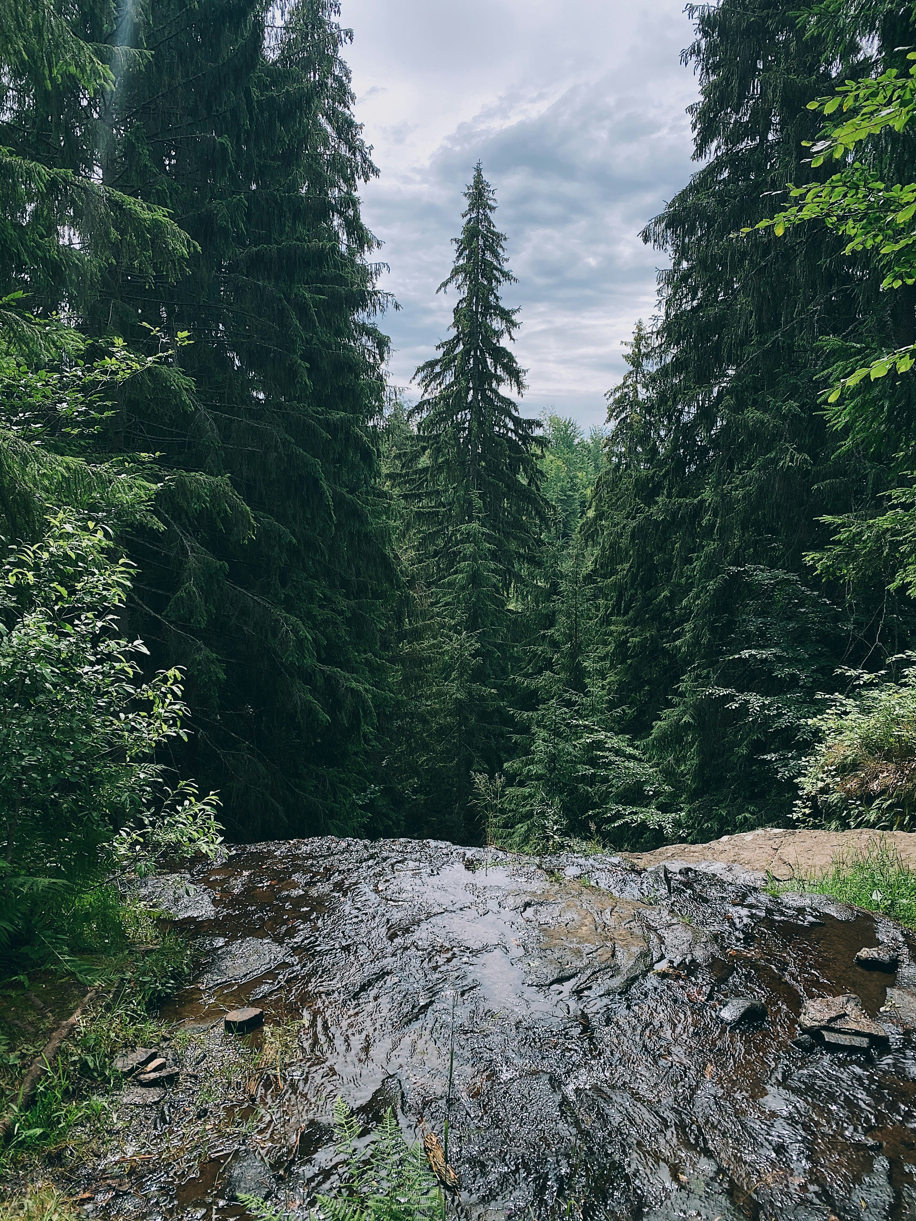 Photo by kakasikriszta