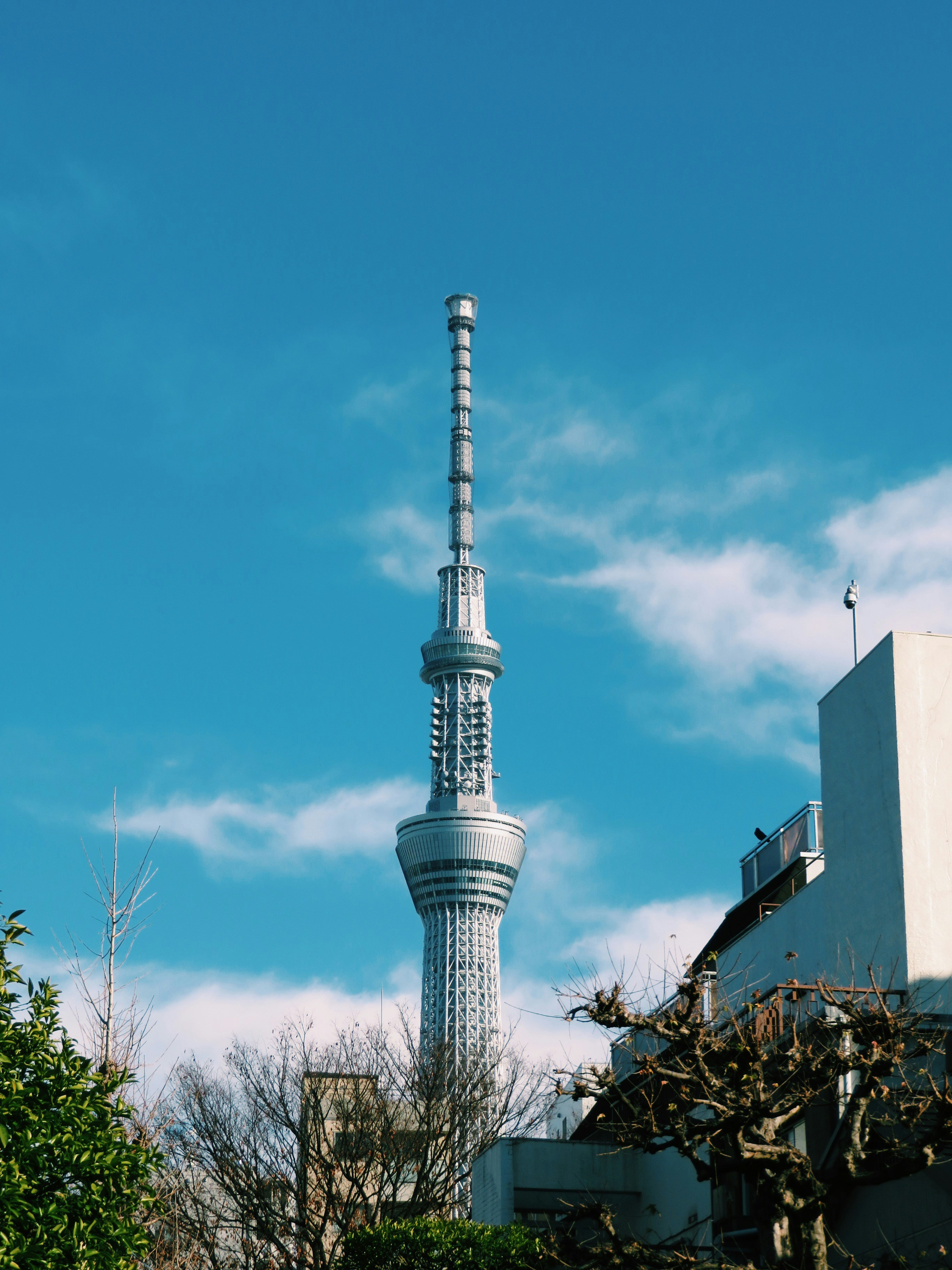 Tokyo skytree illuminated against a blue sky. photo – Free