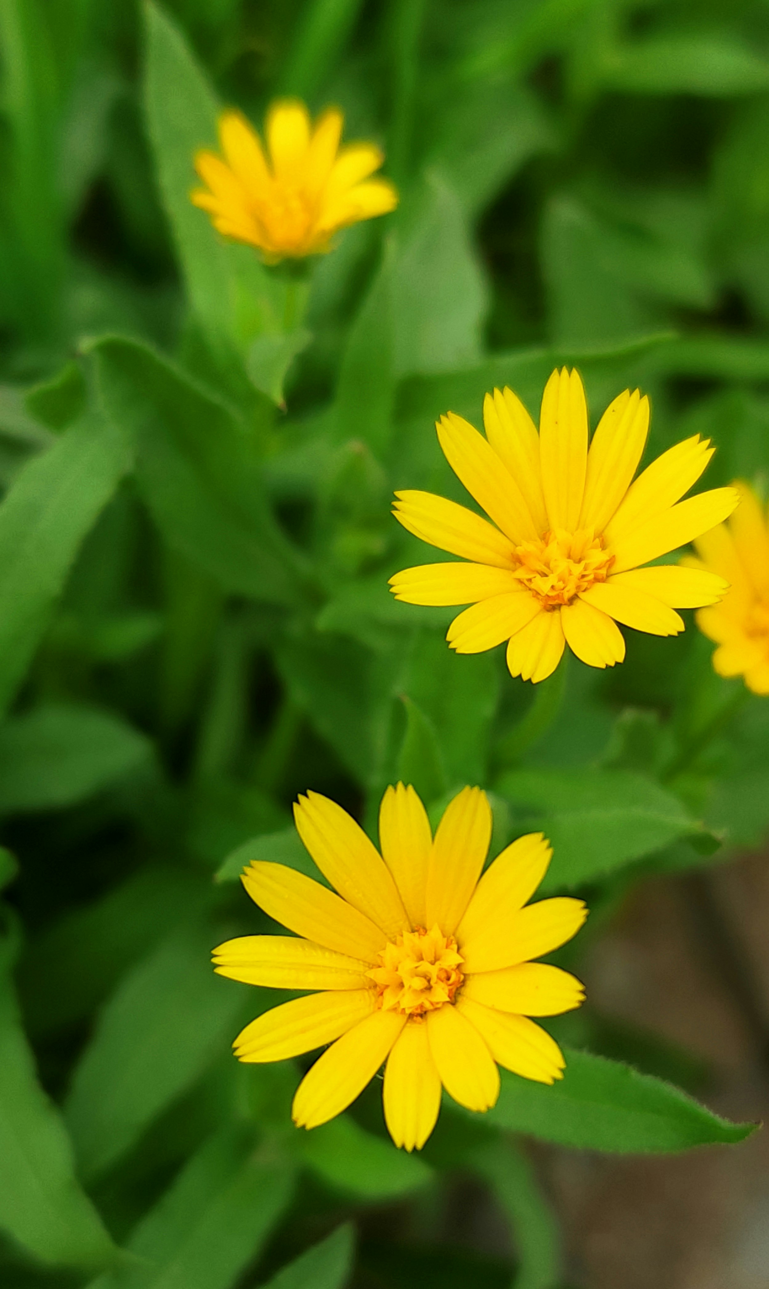 Photo by mkforfuturelife