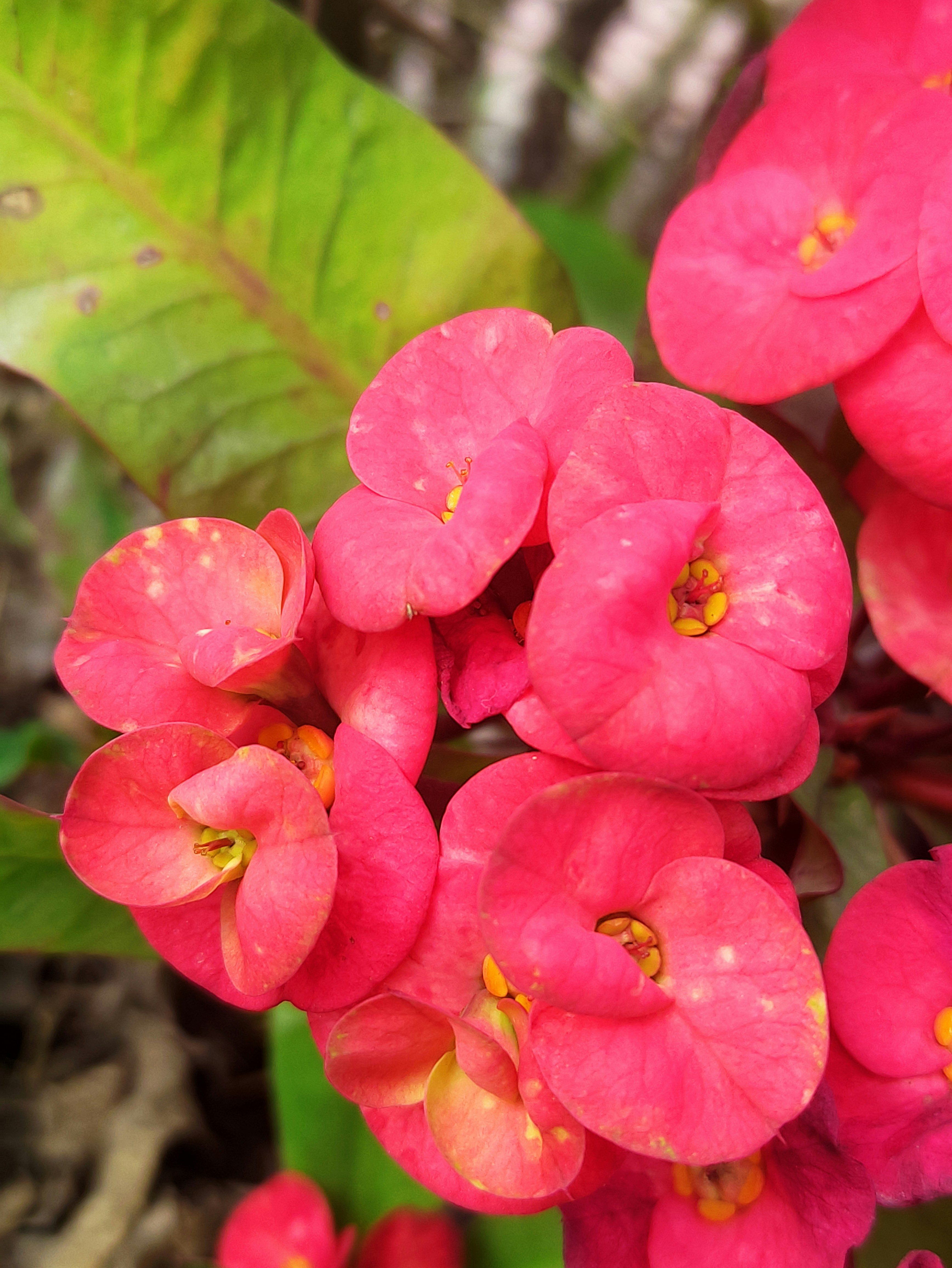 Photo by mkforfuturelife