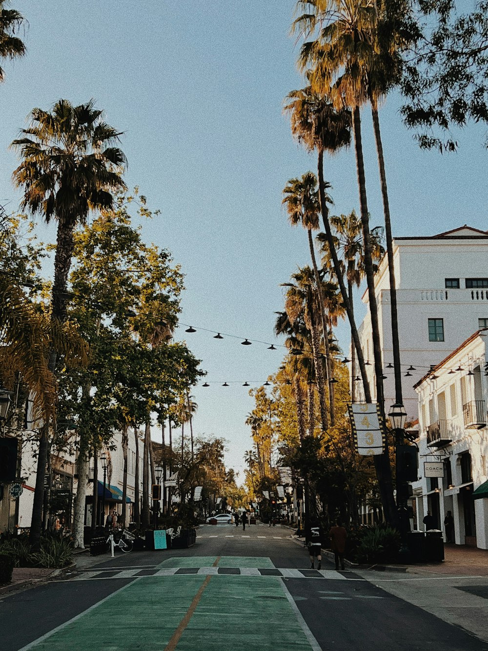 a street with palm trees on both sides of it