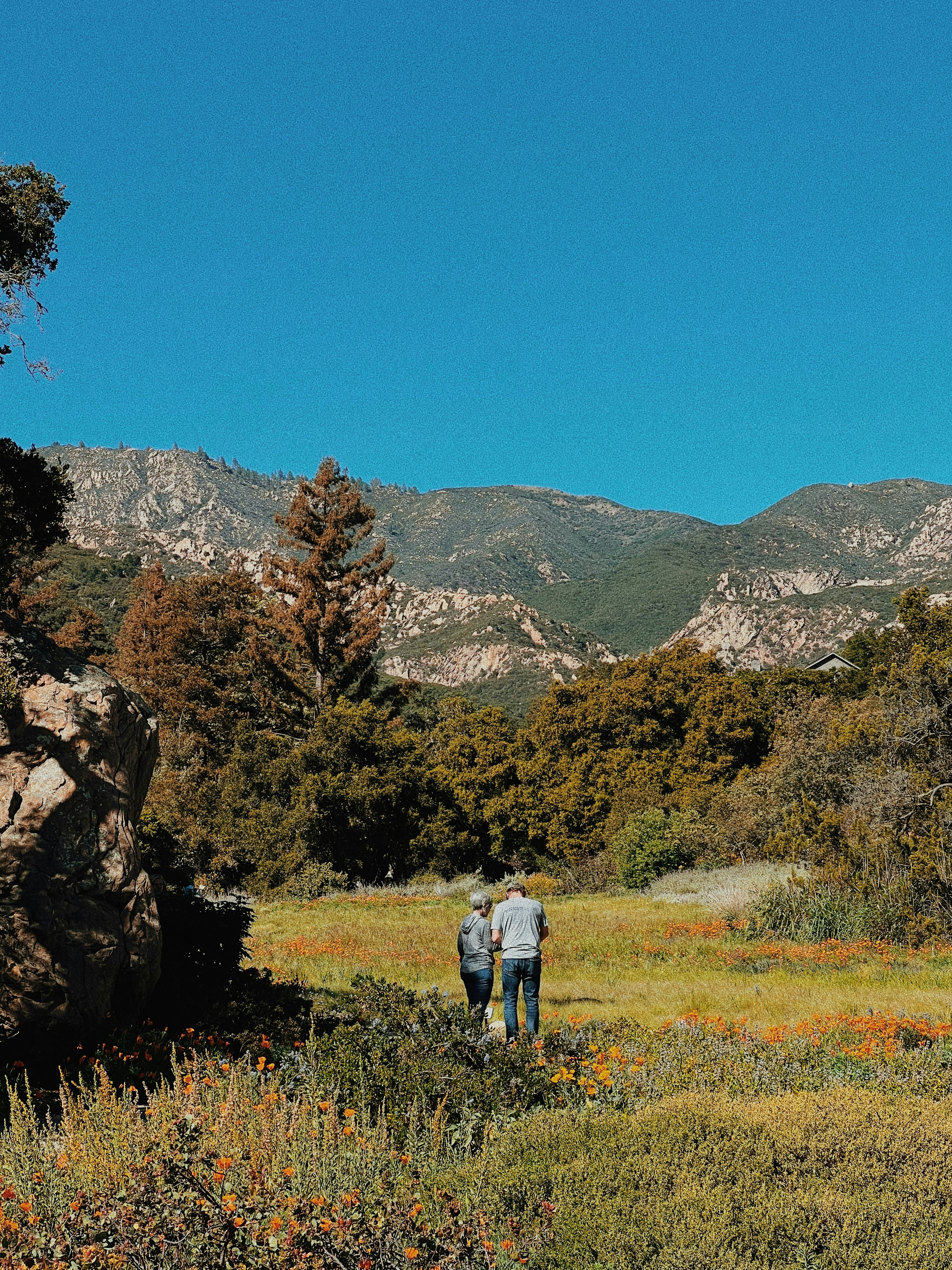 a couple of people that are standing in the grass