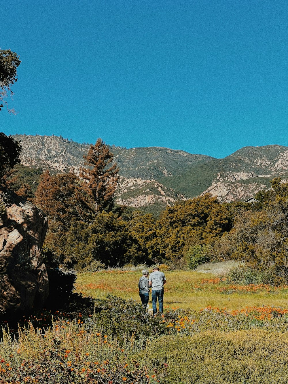 a couple of people that are standing in the grass