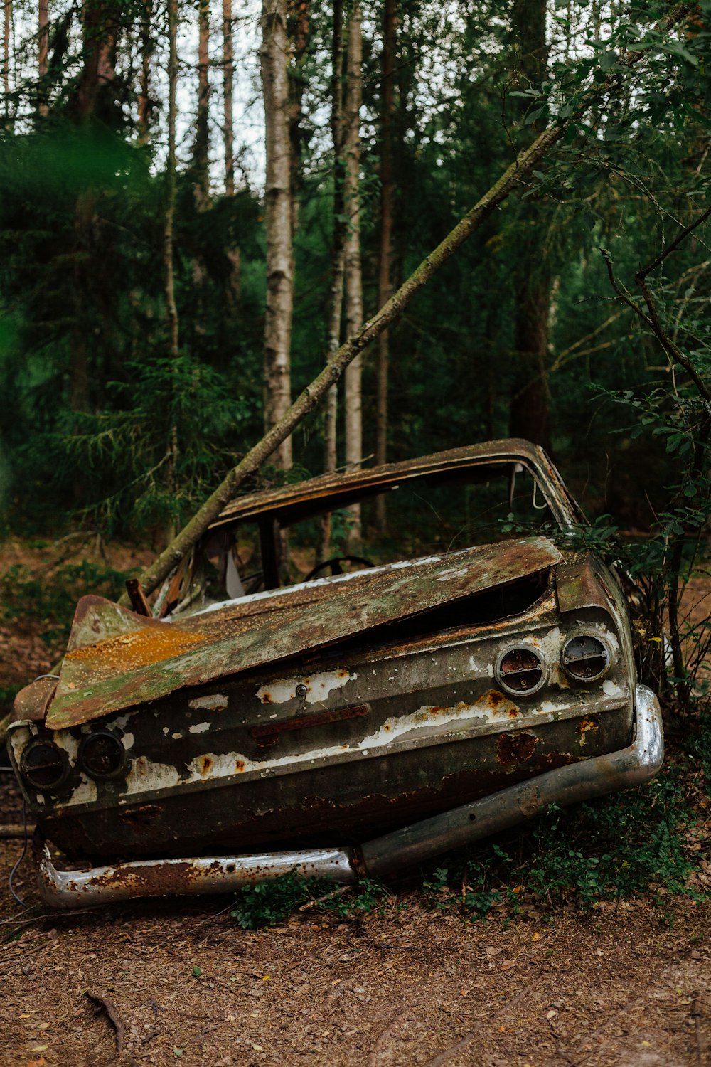 Une voiture rouillée assise au milieu d’une forêt