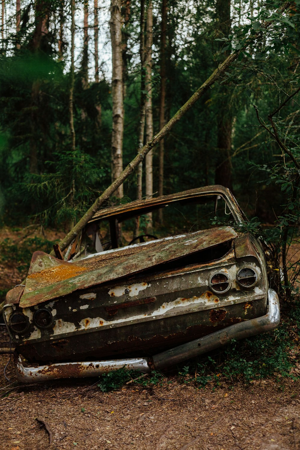 a rusted out car sitting in the middle of a forest