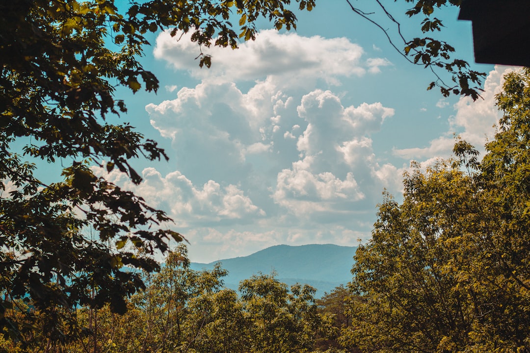 Top 7 Country Music-Themed Road Trips Across America's Heartland… — Top 7 Country Music-Themed Road Trips