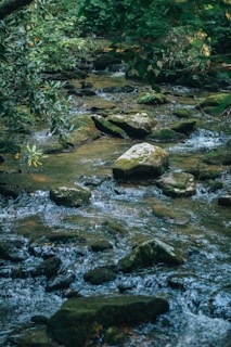 A serene water monitoring setup in a natural environment.