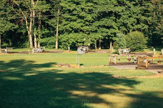 A lush green landscape featuring multiple wooden picnic tables and benches scattered across a grassy area. The background consists of dense, leafy trees, casting shadows on the ground, while a clear sky is visible above. A satellite dish and a few small decorative rocks are also present in the scene.
