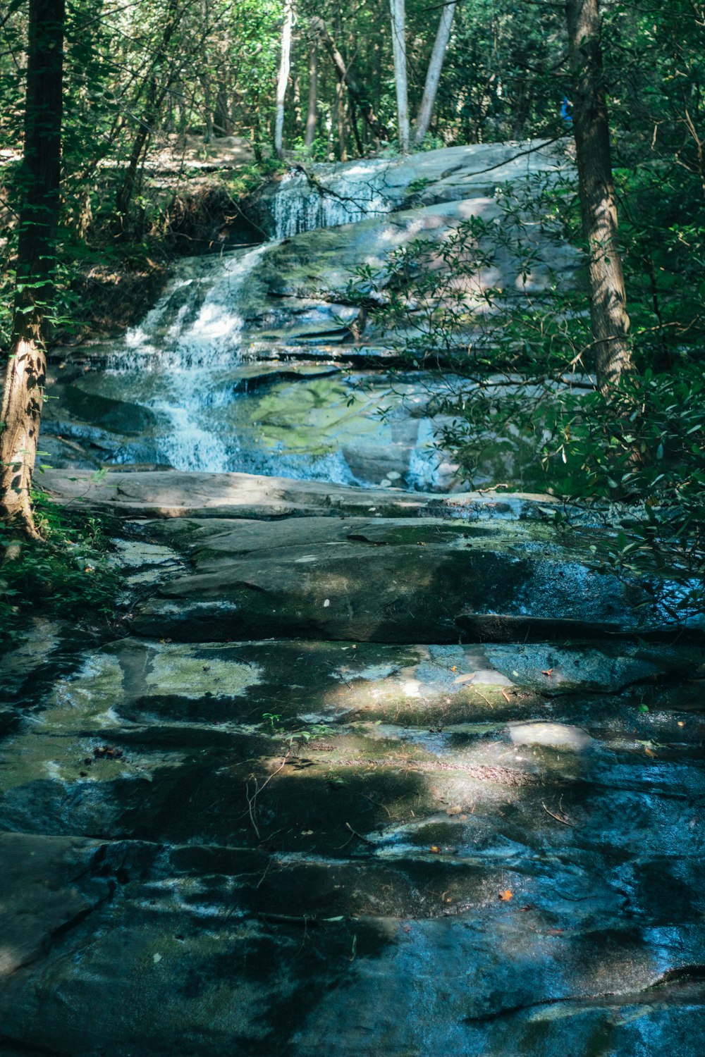 a small waterfall in the middle of a forest