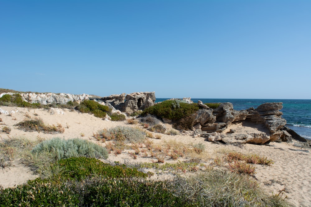 a sandy beach next to the ocean under a blue sky