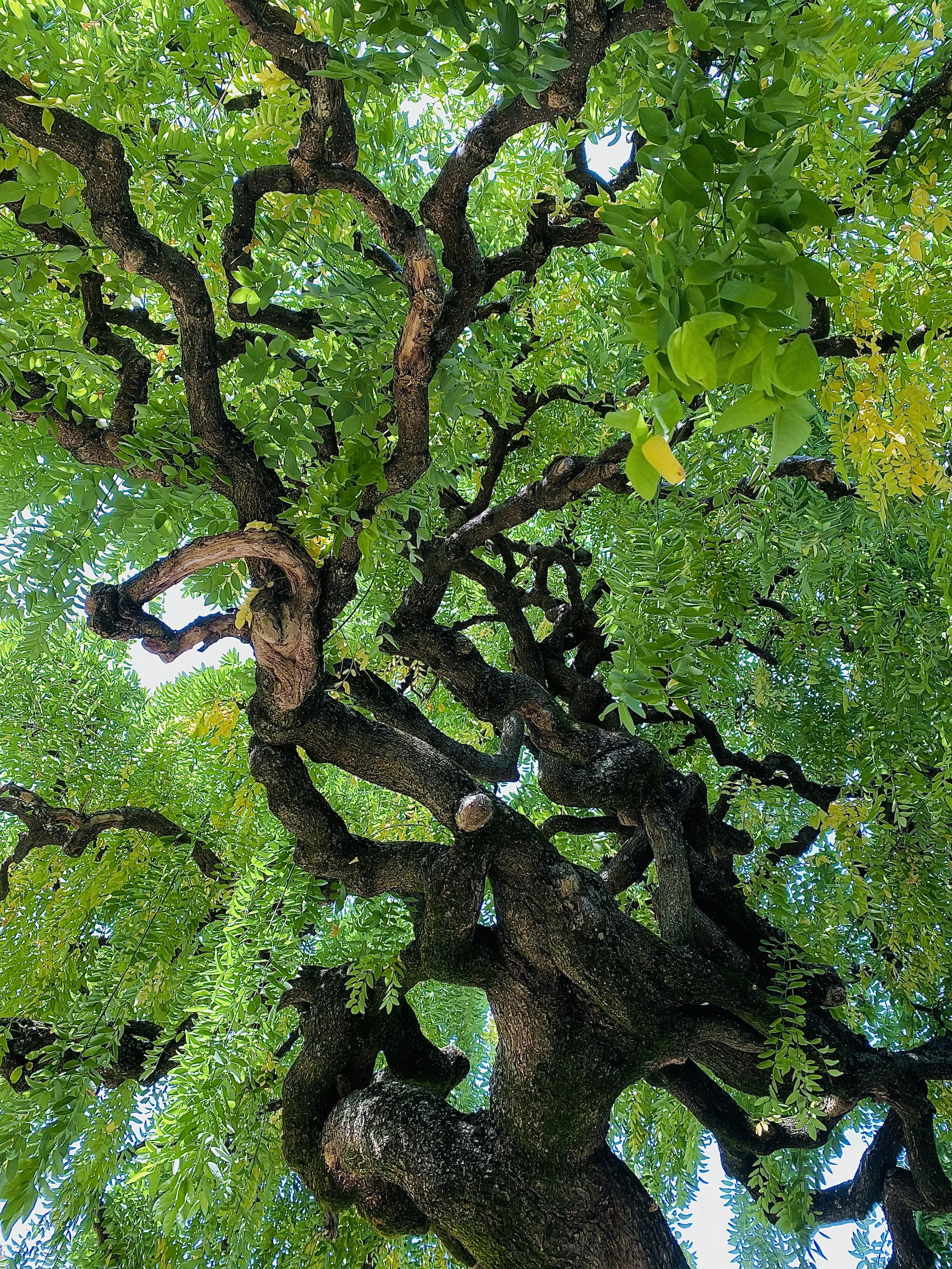 Photo by kakasikriszta