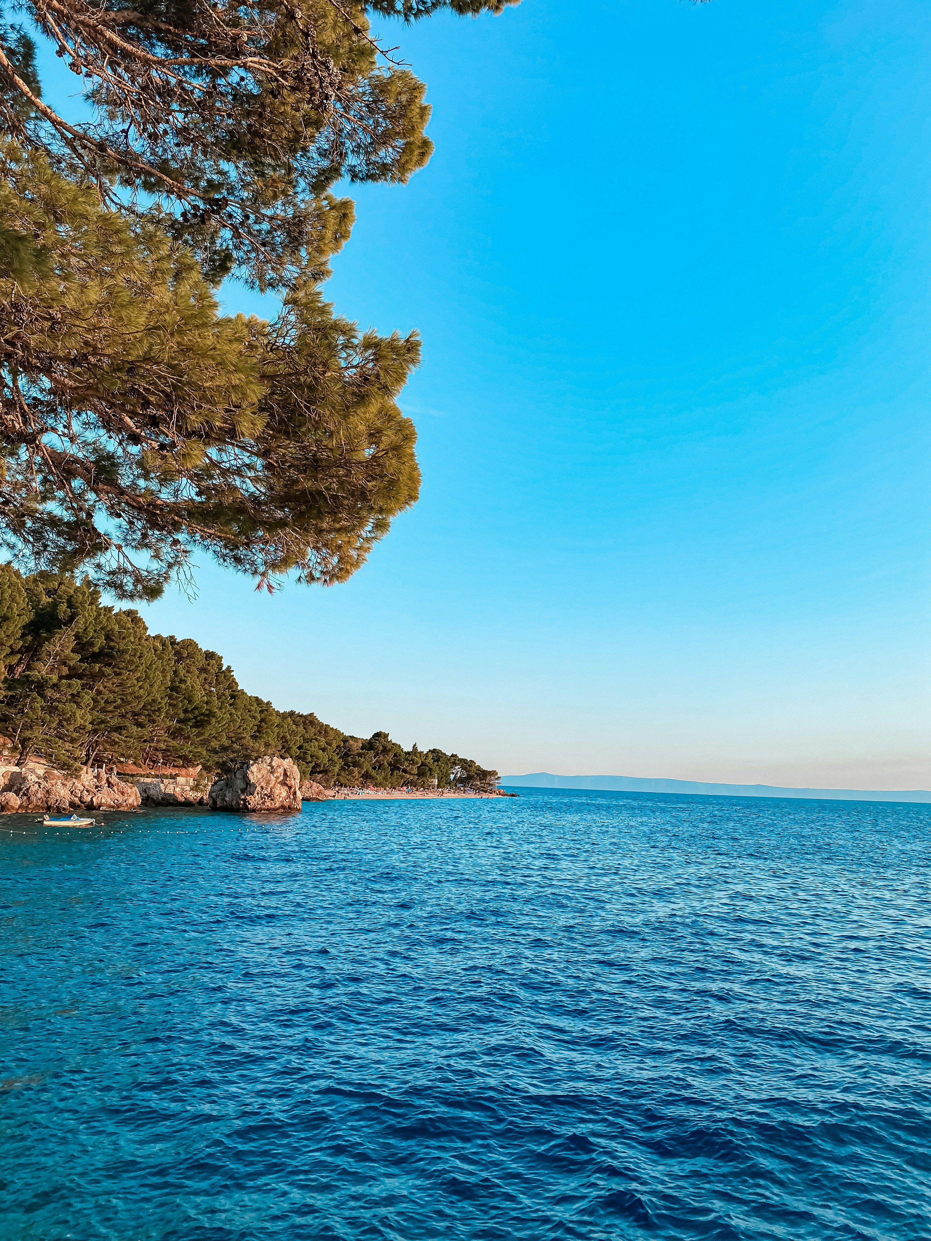 Photo by kakasikriszta