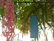 Close-up of a colorful wish tag hanging from a leafy tree branch.