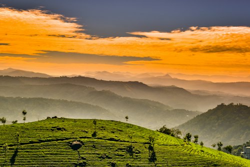 Munnar