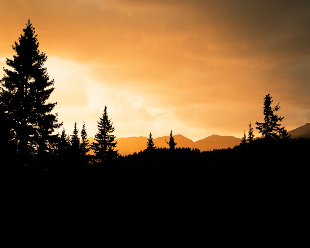 the sun is setting over the mountains and trees