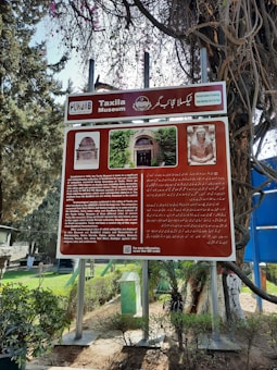 A large informational signboard stands amidst lush greenery, featuring text in both English and another language, likely Urdu. The board is titled Taxila Museum and includes images of an ancient sculpture and a museum entrance. Surrounding the signboard are trees with sparse leaves and foliage, indicating a garden setting.
