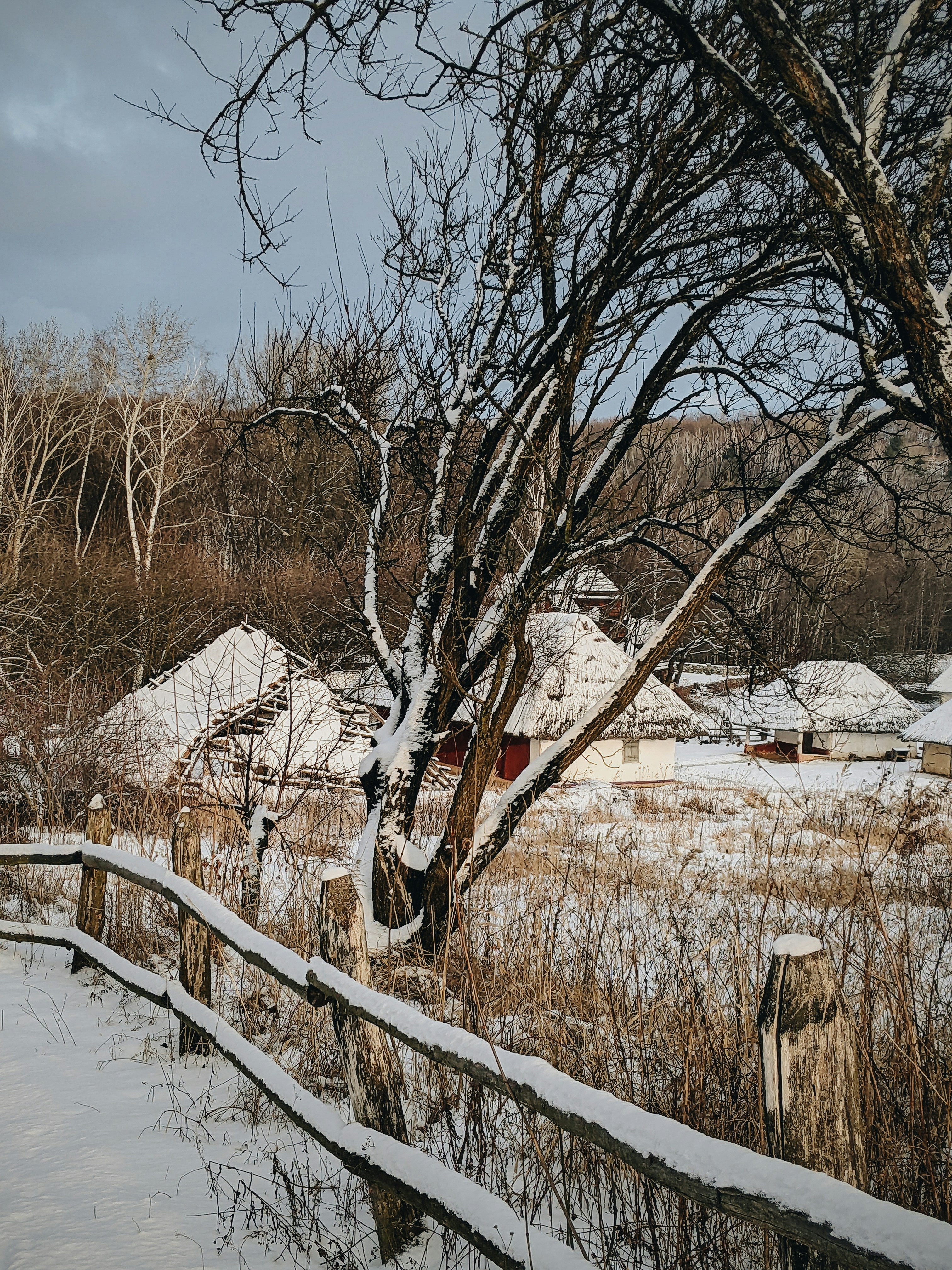 Photo by illiakholin