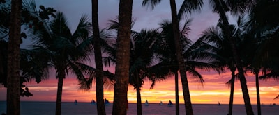 Sunset over Isla Canela coastline with boats and palm trees