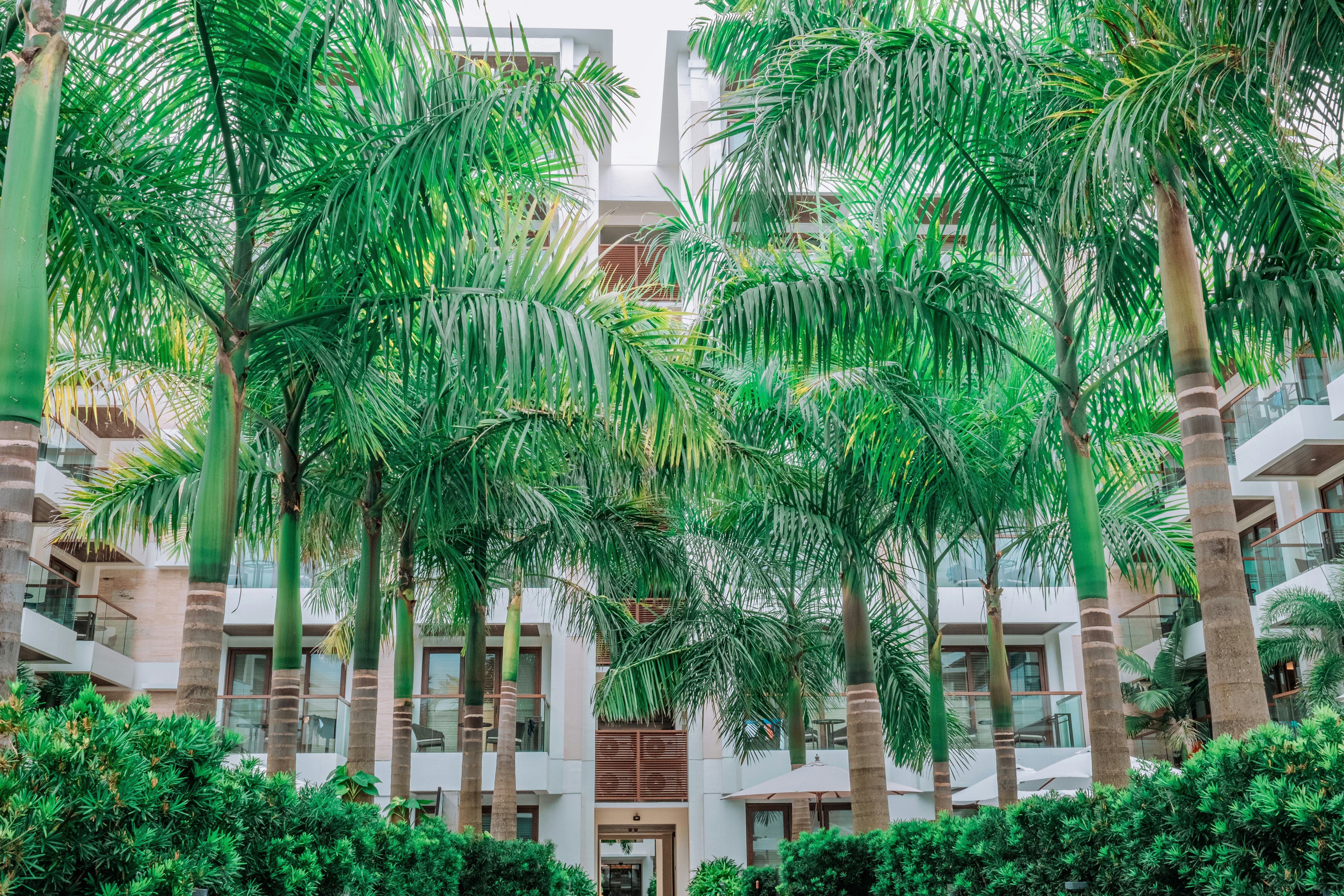 photo-1646821198965-9ab9459beea4?ixid=M3