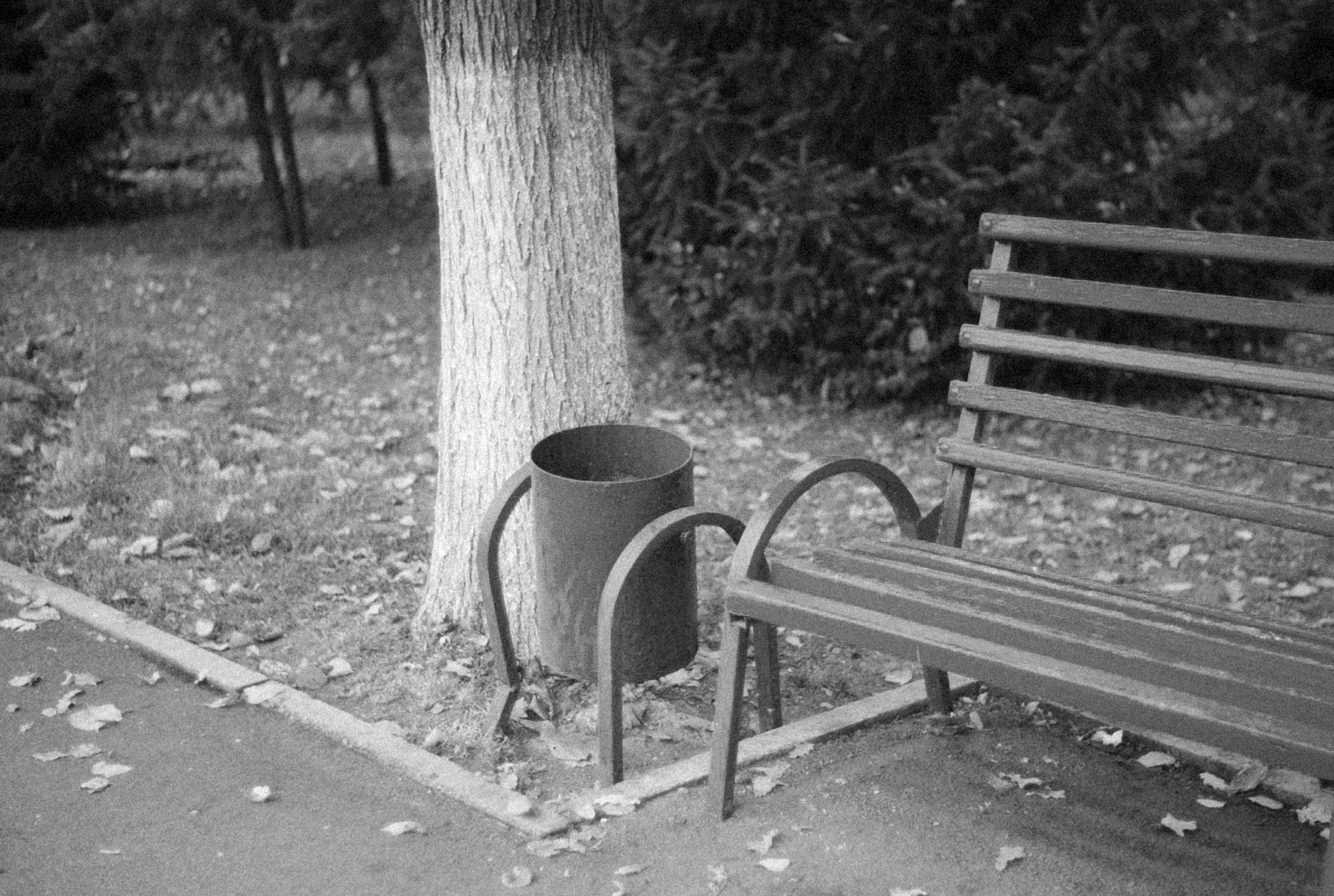 Photo by alexeydemidov