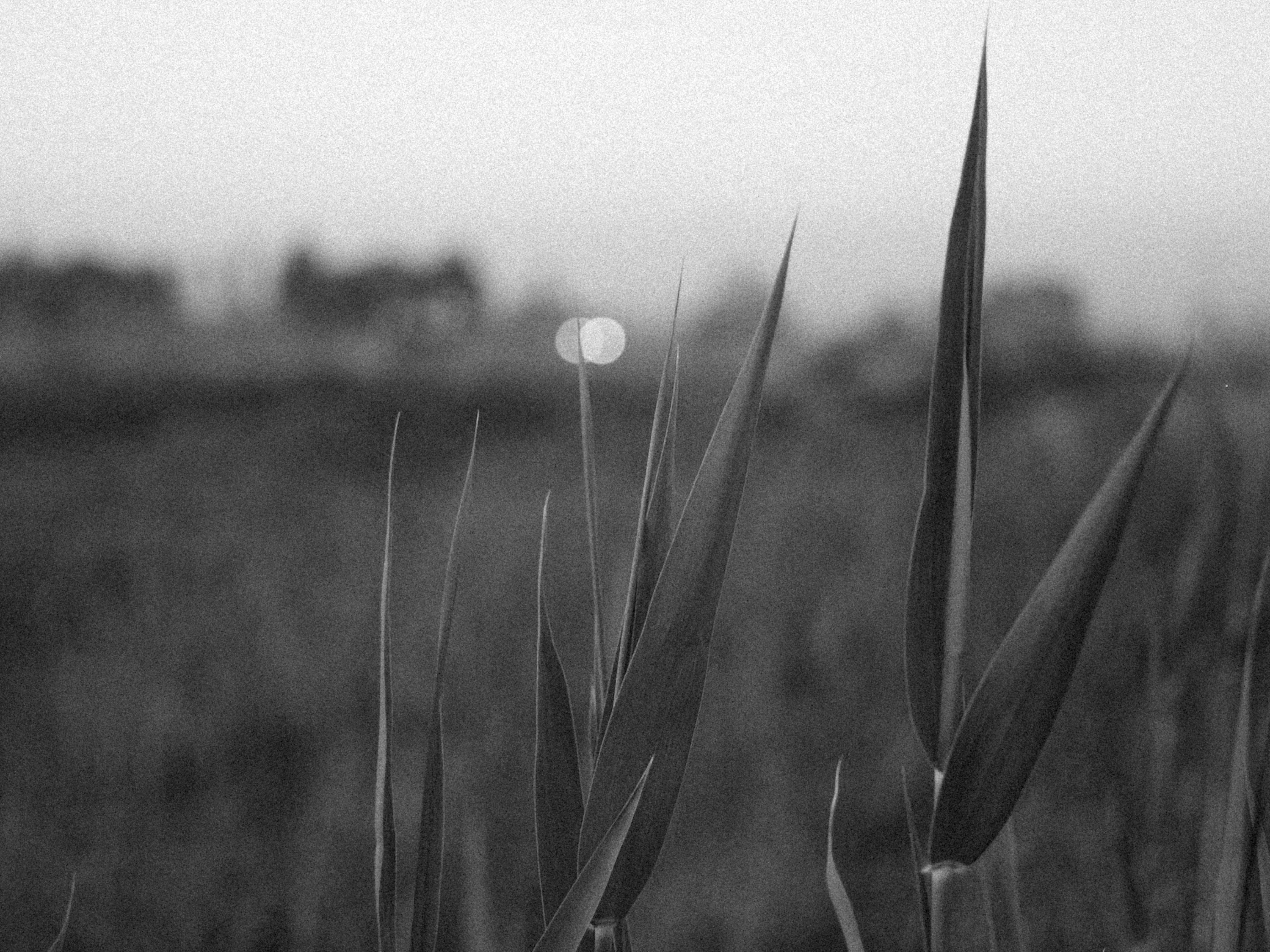 Photo by alexeydemidov